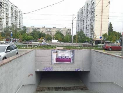 Нестандарт A в Киеве, 2.5x1.5  пр. Оболонський - Героїв полку «Азов» вул. (Маршала Малиновського), зупинка "ст. м. Оболонь",  вихід  до  ТЦ  "Дивосвіт ", маркету "Велика Кишеня" – ст. м. Оболонь фото 1