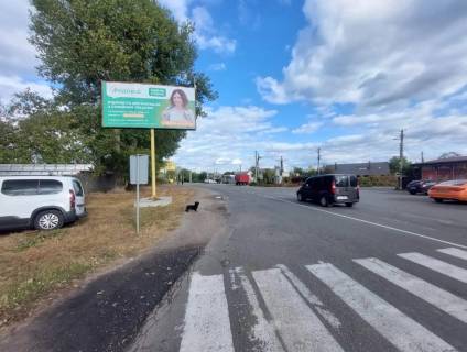 Билборд B в Боярка стара (Боярка стара), Board 3x6м  вул. Шевченка/ вул. Матросова, виїзд із Боярки в сторону с. Віта-Поштова фото 1