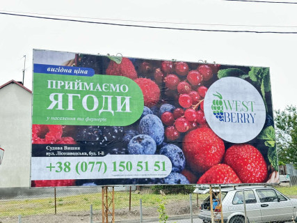 Білборд A у Мостиськах м. Мостиська вул.Підкови Фото 1