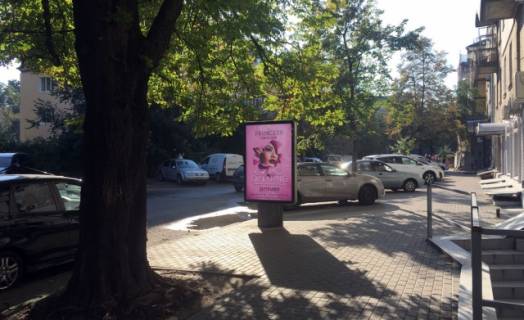Ситилайт A в Киеве, 1.2x1.8  Гуцала Євгена пров.(пров. Кутузова)/("Печерьский" базар, "Камелія") фото 1