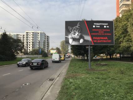Билборд A в Львове, 6x3  Мазепи Гетьмана вул., 5, (Супермаркет "Сільпо", Ломбард "Перший", Банк Cashpoint, магазин автозапчастин ProfAuto Lviv, Автостоянка ), в напрямку Замарстинівська вул. фото 1