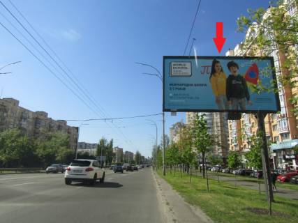 Билборд A в Киеве просп. Володимира Івасюка (Героїв Сталінграда)., 6 (Сільпо, Жовте море, Goodwine), в напрямку метро Мінська фото 1
