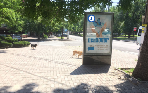 Ситискролл B в Николаеве, 1,25*1,86  Центральний просп. (Леніна просп.), 70 - ріг вул. Фалеевскої, БЦ, Vodafone, Pizza Celentano - ПЕРШИЙ фото 1