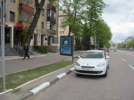 Ситилайт B в Васильевке, 1.2x1.8  Науки просп. (Леніна просп.), 19 фото 1