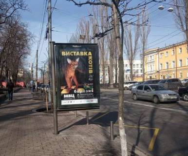 Ситилайт B в Киеве, 1.2x1.8  Шевченка Тараса бульв., 14 №2 фото 1