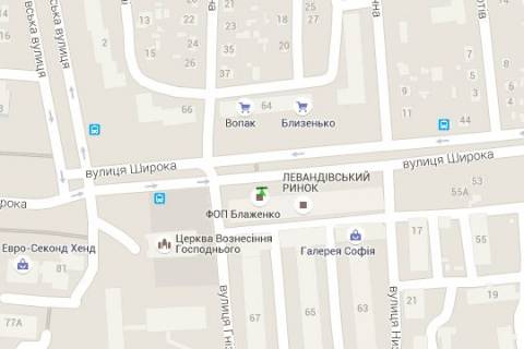 Сiтiлайт B у Василівці Широка вул., 65-а схема