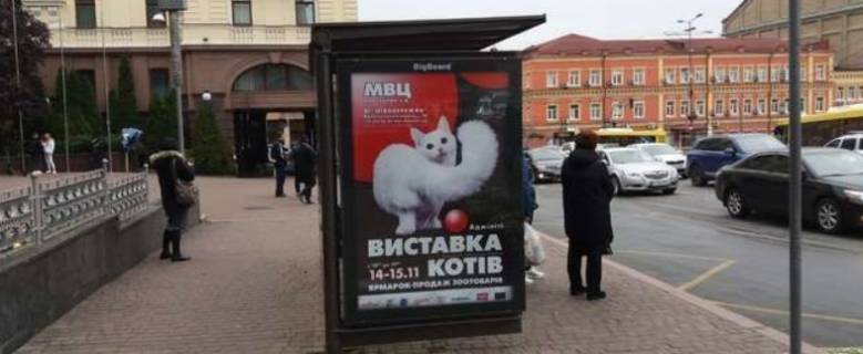Нестандарт B в Киеве, 1.2x1.8  Петра Сагайдачного вул., 11 зуп. «Поштова площа» фото 1