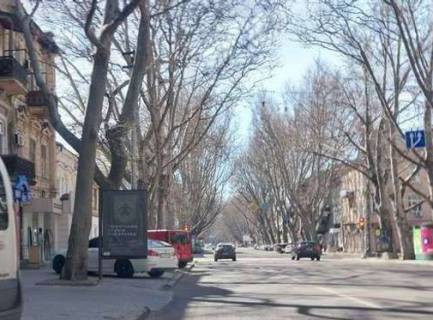 Ситилайт A в Одессе, 1.2x1.8  Рішельєвська вул., 37 фото 1