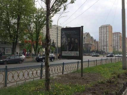 Ситилайт B в Васильевке, 1.2x1.8  Лесі Українки бульв., 19/6 (розподільник) фото 1