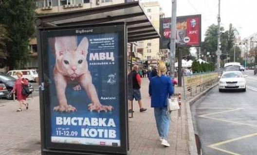 Нестандарт B в Киеве, 1.2x1.8  Лесі Українки бульв., 26 площа навпроти ЦВК України, праворуч -зупинка громадського транспорту фото 1