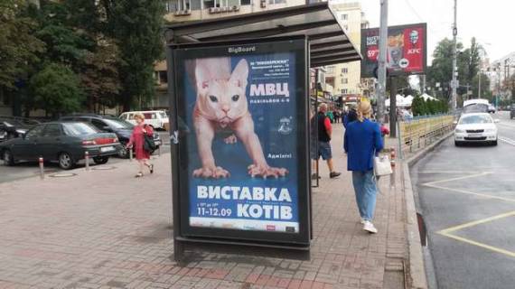 Ситилайт B в Васильевке, 1.2x1.8  Лесі Українки бульв., 26 площа навпроти ЦВК України, праворуч -зупинка громадського транспорту фото 1