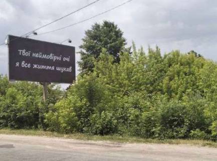 Билборд A в Житомире, 3x6  Київське шосе, 117 фото 1