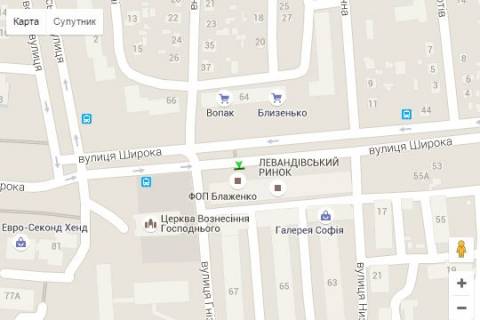 Сiтiлайт A у Василівці Широка вул., 65-а схема