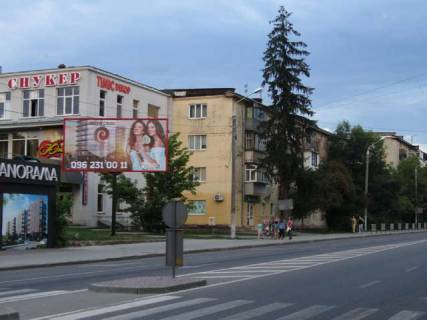 Білборд, Бігборд (Борд)  B у Василівці Пасічна вул., 43 Фото 1
