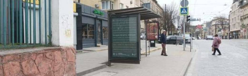 Нестандарт B в Львове, 1.2x1.8  Личаківська вул., 109 фото 1