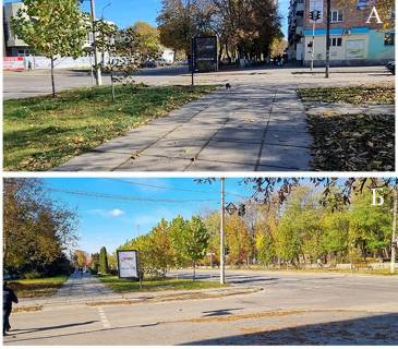 Ситилайт B в Звенигородке м. Звенигородка, просп. Шевченка, біля міськради фото 1