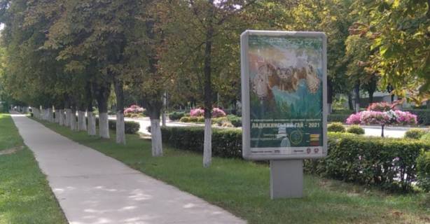 Ситилайт A в Ладыжине вул.Будівельників  біля дендропарку "Ладижинський гай" фото 1