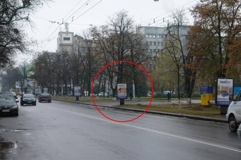 Ситилайт A в Полтаве вул. Соборності (Жовтнева), 45(R9) (Полтавська обласна державна адміністрація) фото 1