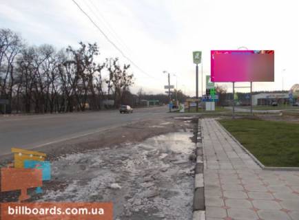 Билборд A в Житомире Бердичевское шоссе (АЗС Окко, АЗС WOG) выезд с г.Житомир в сторону г.Бердичев фото 1