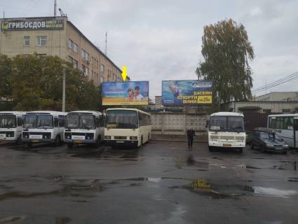 Билборд A в Житомире, 3x6  Хлібна вул., 14 (Житній ринок, автовокзал) лівий щит фото 1