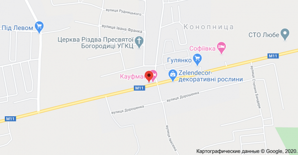 Білборд, Бігборд (Борд)  B у Львові, 3х6  с.Конопниця (в'їзд у Львів) схема