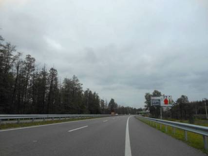 Билборд A в с. Романкове Новообухівська траса, км 33+500 ліво фото 1