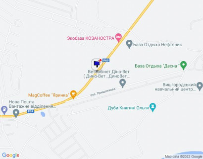 Билборд B в Хотяновке, 6х3  с. Хотянівка, траса Р-69 "Київ-Вишгород-Десна", км 32+900 право, за 300м до повороту на вул. Пришляхова, через 350м після автобусної зупинки, через 400м після екобази КОЗАНОСТРА схема