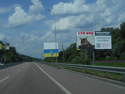 Билборд A в Лесниках, 6х3  Дніпровське шосе, траса Н-01 "Київ-Знам'янка", км 20+400 ліво, через 400м після повороту на с. Лісники фото 1