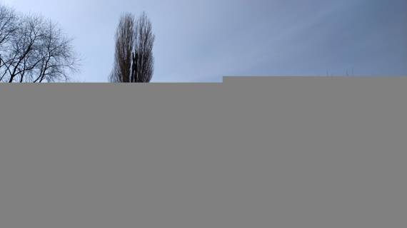 Билборд  в Васильевке, 3x6  тр.Энергодар-Васильевка_79 км, ул.Береговая 35 фото 1